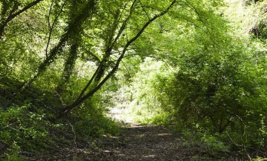 Valle dei Calanchi Bio Agriturismo olistico. Escursione da lubriano a civita di bagnoregio